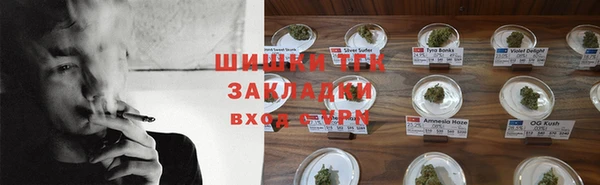 ALPHA PVP Белокуриха