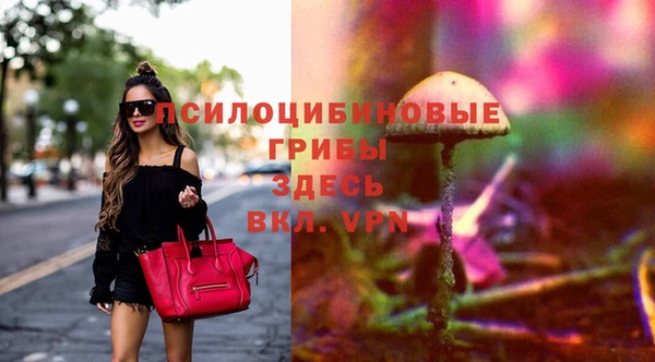 соль ск Балахна