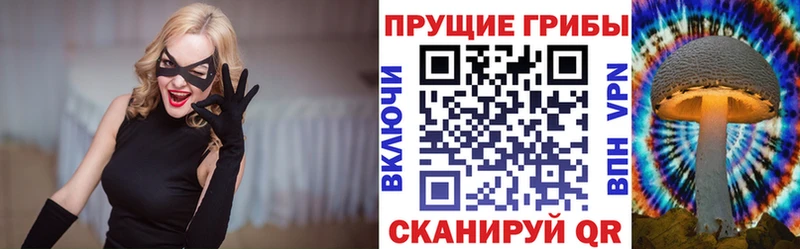 Галлюциногенные грибы Psilocybine cubensis  гидра рабочий сайт  Кологрив 